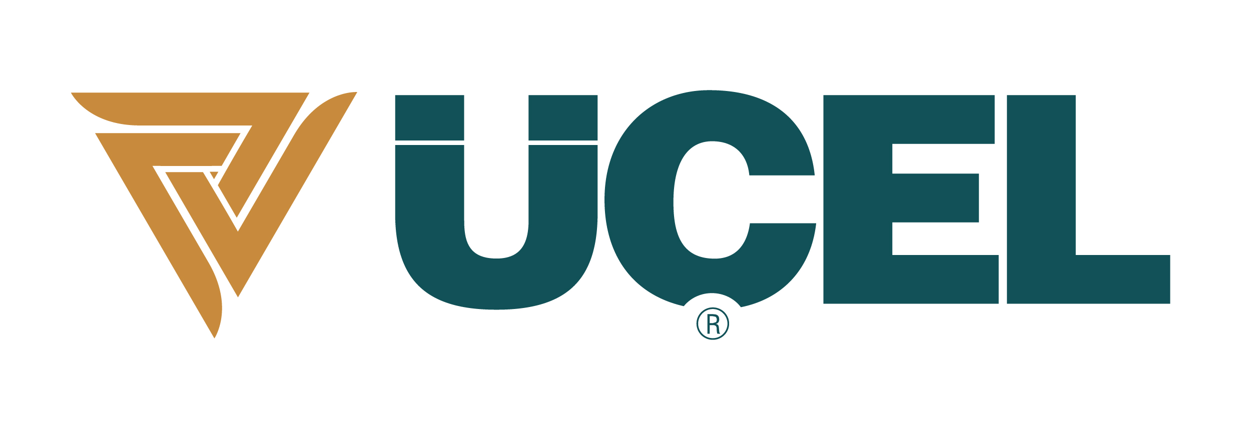 ��EL KAU�UK TA�.ARA OTO YED.PAR�A SAN.T�C.A.�.